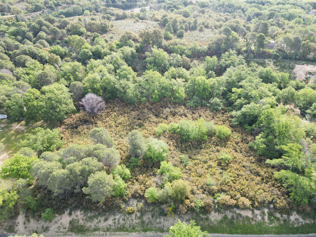 Terrain à ARGELES-SUR-MER