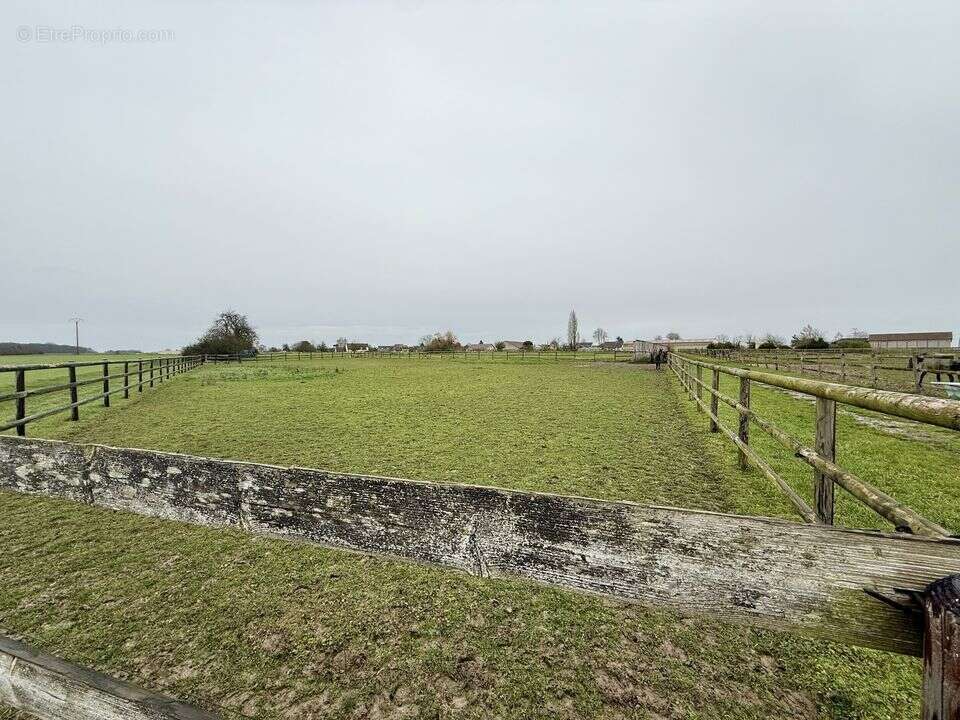 Ecurie 21 box à vendre-Secteur PROVINS-77 - photo 8