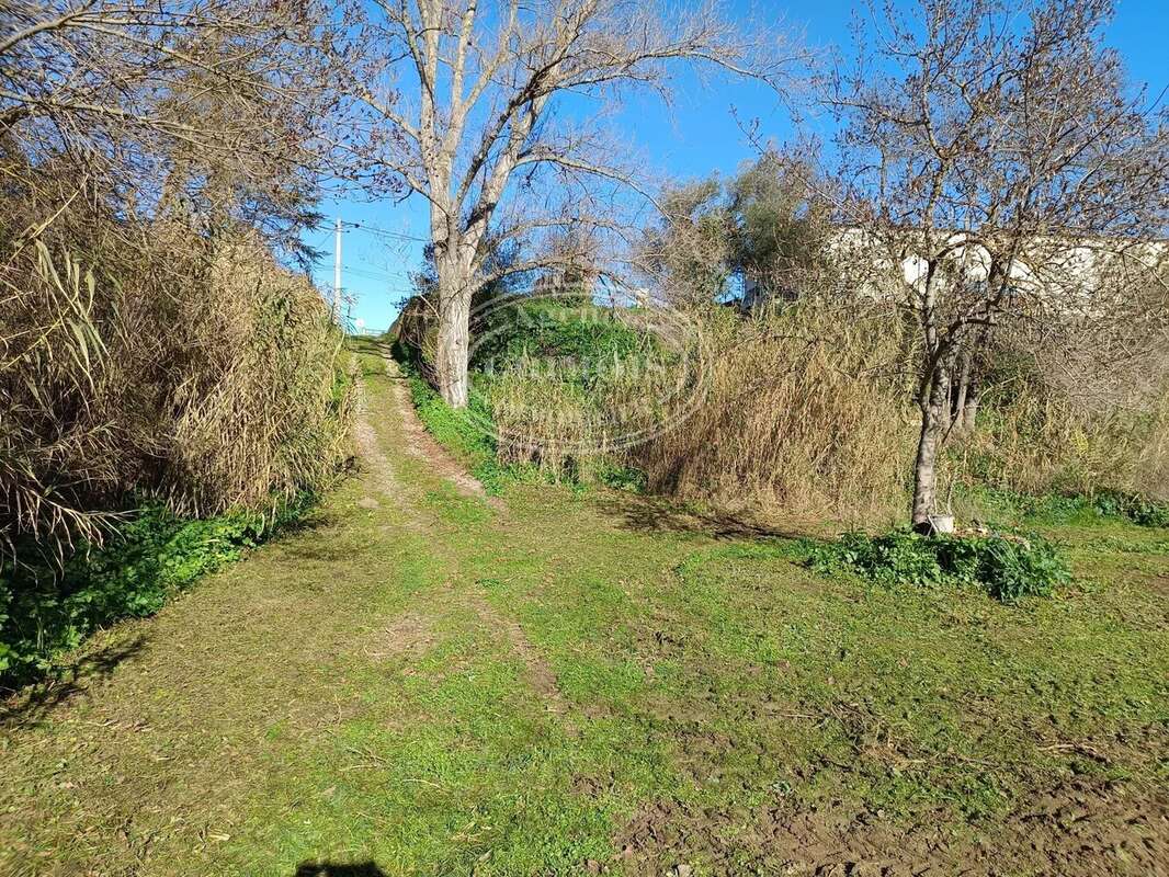 Magnifique terrain 3 816m² dont 602m² constructible - photo 2