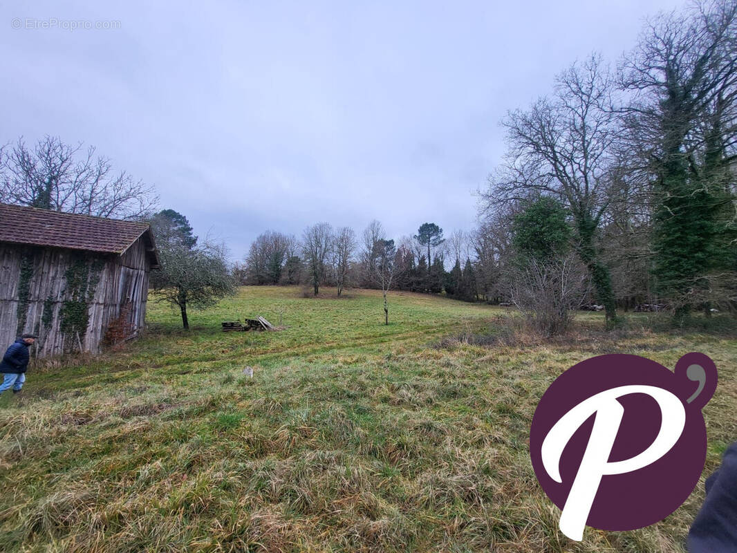 Terrain à CAMPSEGRET