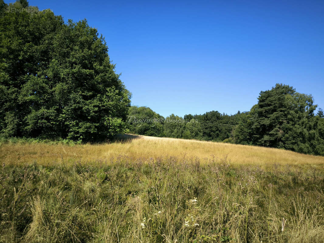 Terrain à SAINT-YRIEIX-LA-PERCHE