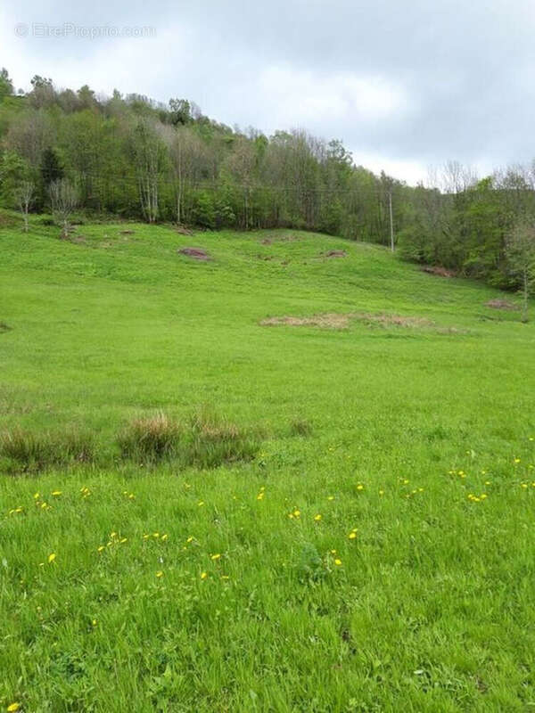 Terrain à LA BRESSE