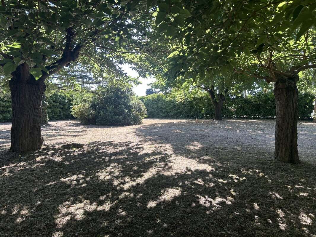 Terrain à MAS-SAINTES-PUELLES