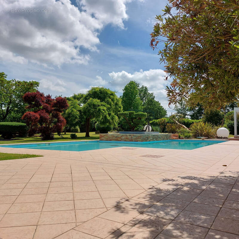 Maison à vendre 13 pièces MONTAUBAN (82), salle de reception, parking, bureaux, cave, dépendances,  parc de 8000m2, 2 entrées in - photo 95