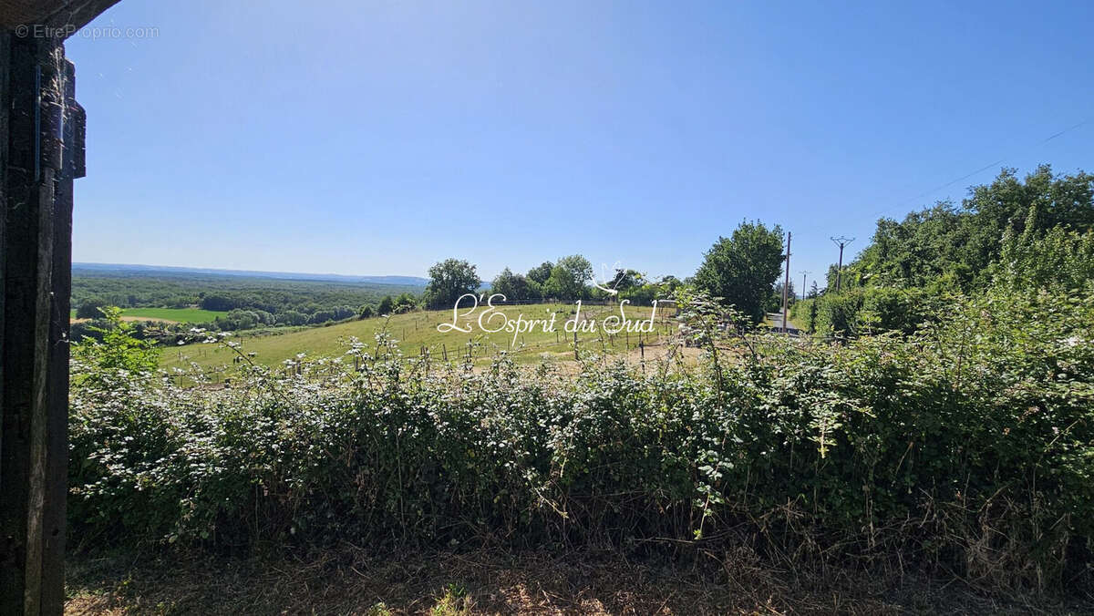 Maison 166 m² à Parisot  - photo 8