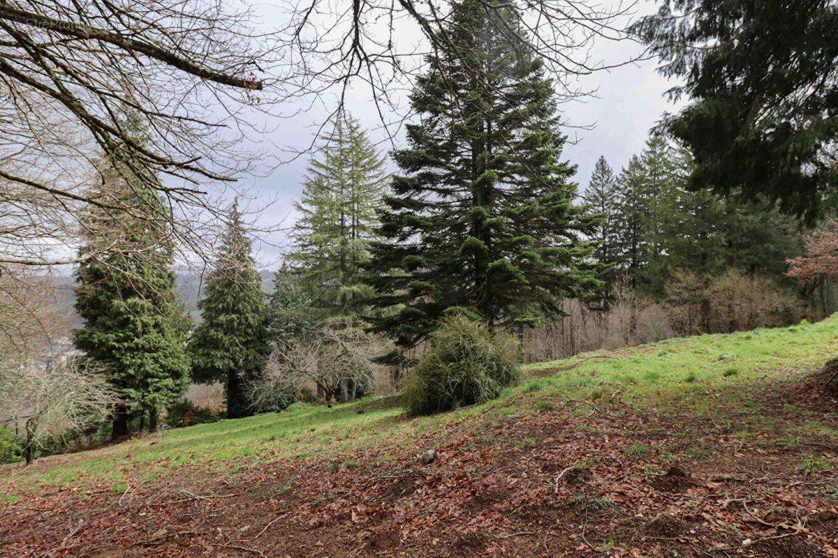 Maison à LA SALVETAT-SUR-AGOUT