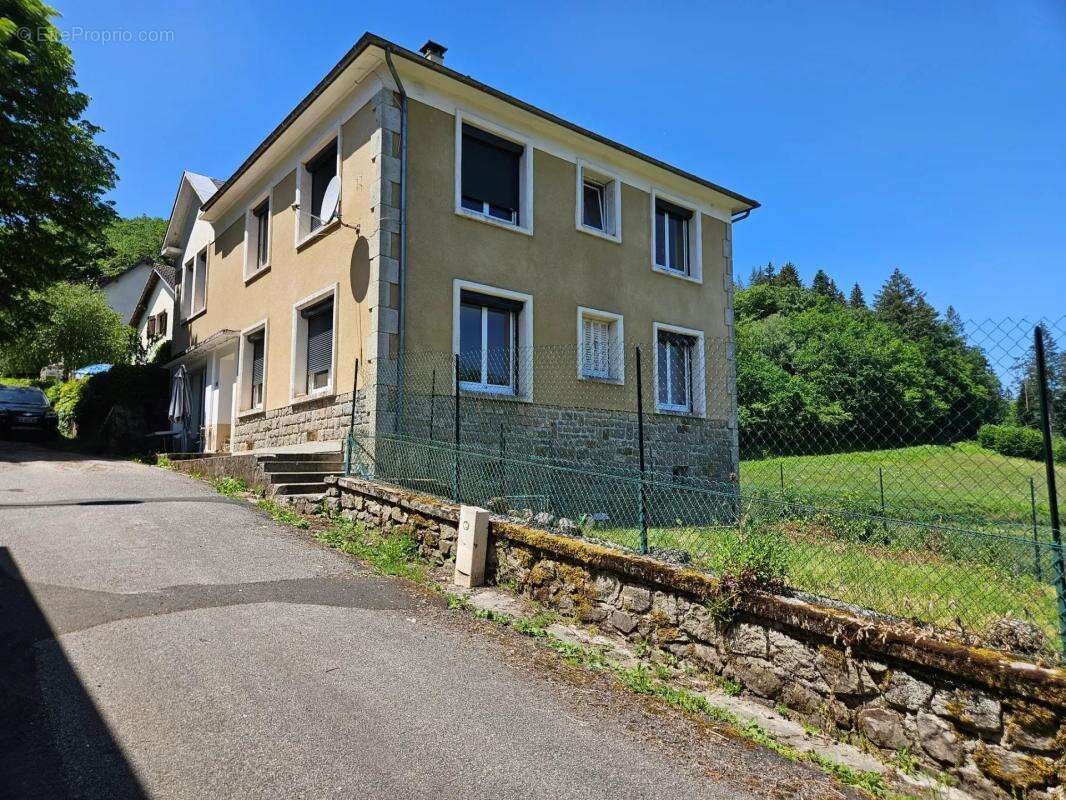Maison de 8 pièces 6 chambres de 166 m² à Singles - photo 2