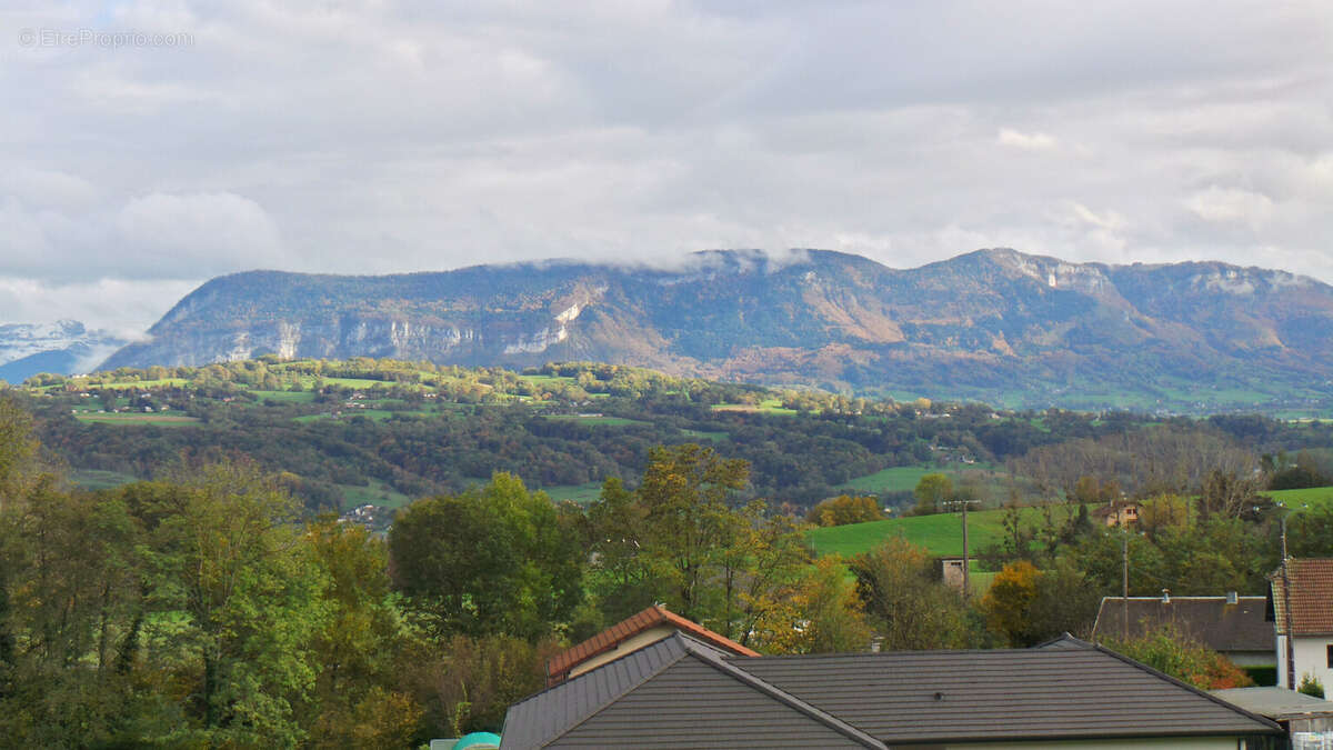 Vue
