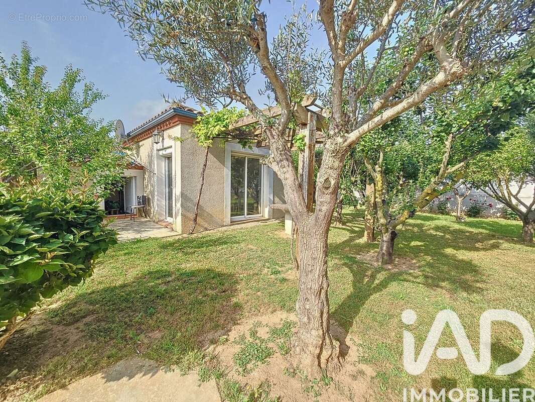 Photo 5 - Maison à TREBES