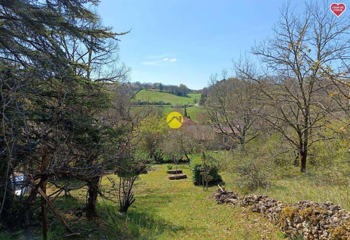 Maison à LE BUISSON-DE-CADOUIN
