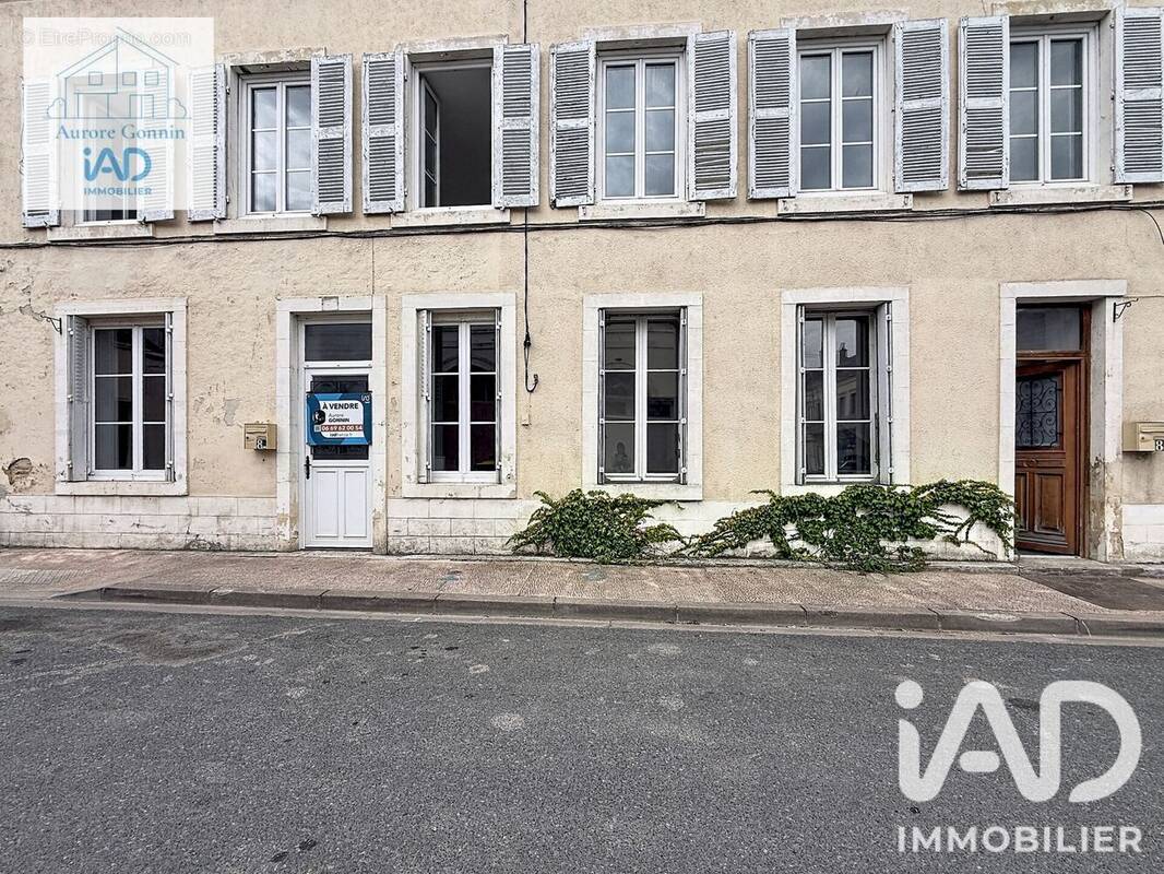 Photo 1 - Maison à SANCOINS