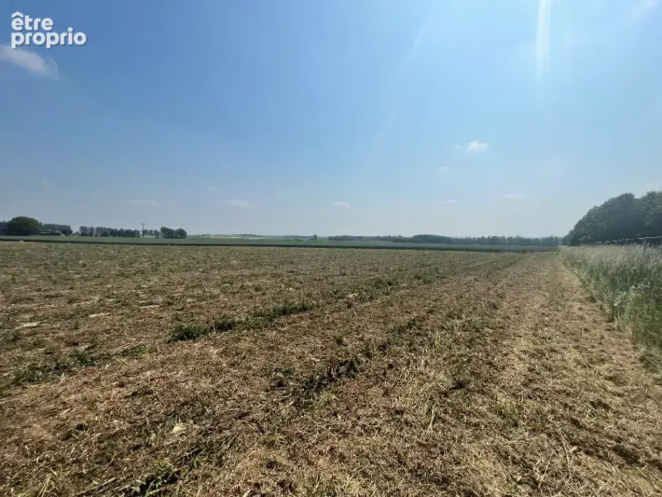 Terrain à LATTRE-SAINT-QUENTIN