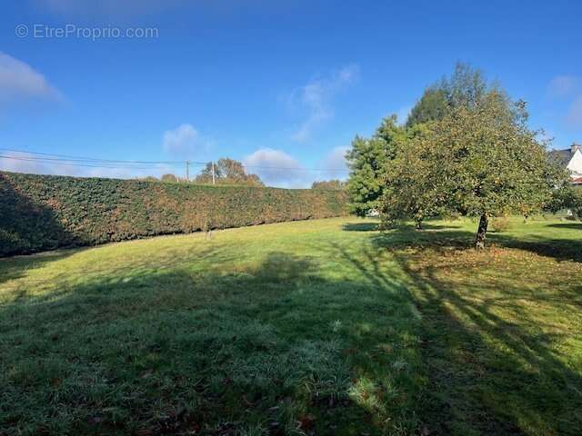 Terrain à TRELIVAN