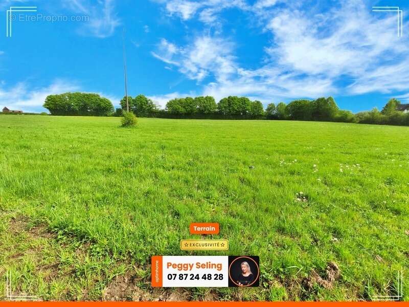 Terrain à BUIRONFOSSE