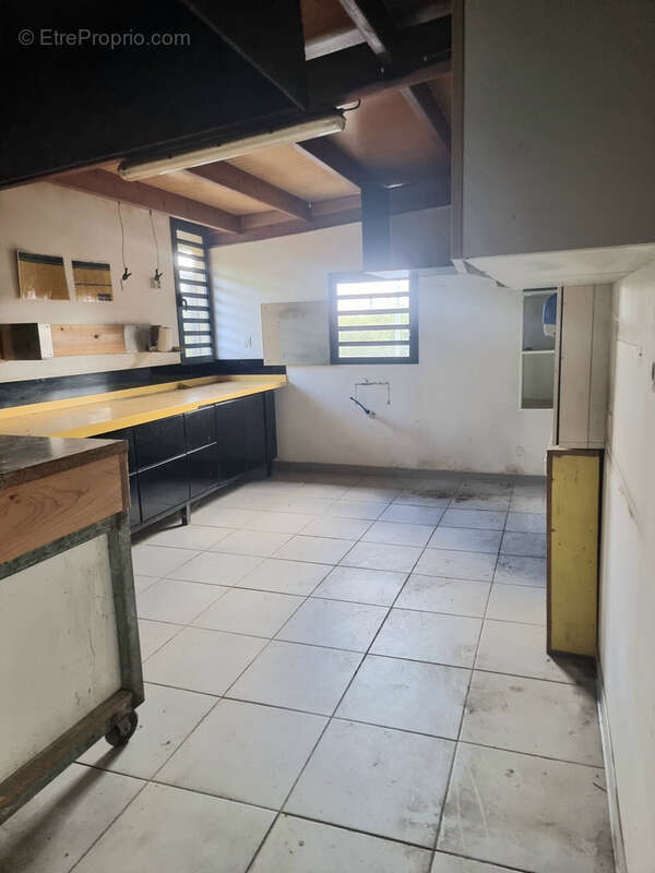 Maison à LA PLAINE-DES-PALMISTES