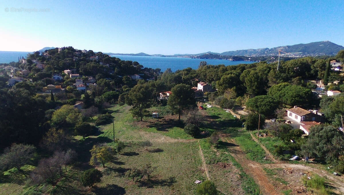 Terrain à LE PRADET