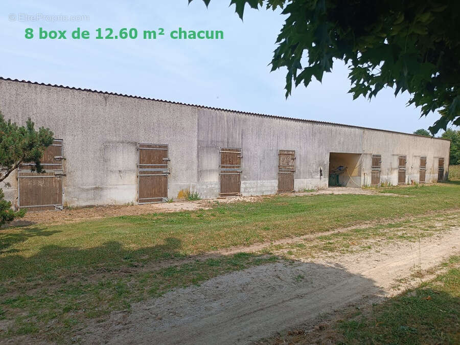 Viager occupe - photo 5