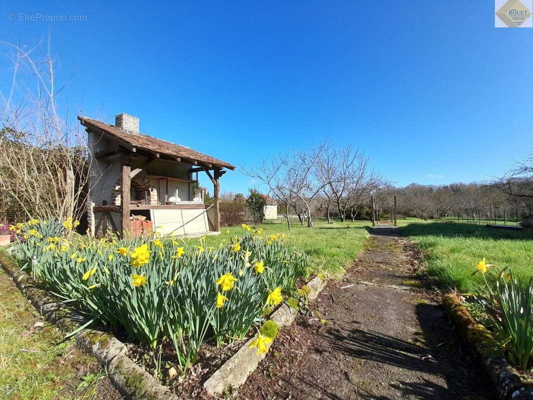 Maison à LA ROCHE-POSAY