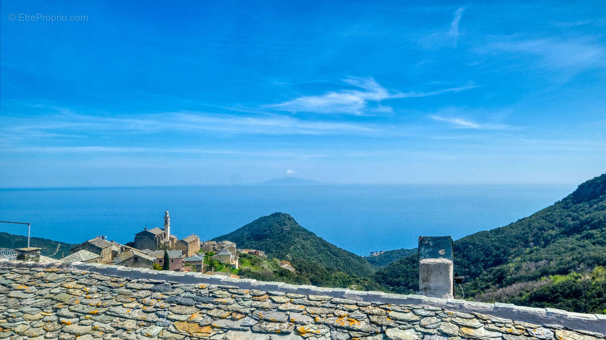 Maison à SAN-MARTINO-DI-LOTA