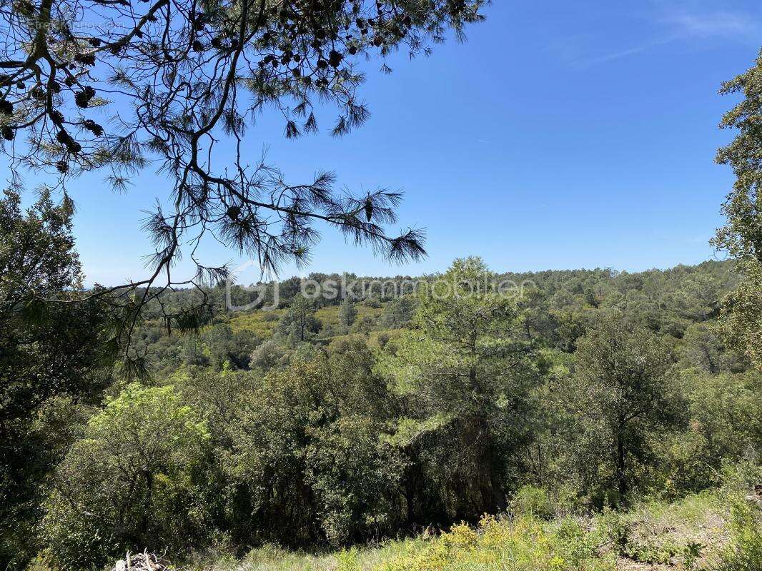 Maison à CONQUES-SUR-ORBIEL