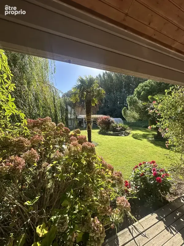 MERLIMONT - A VENDRE - Maison finlandaise en madriers de bois massif, jardin arboré, vue forêt, deux garages - photo 21