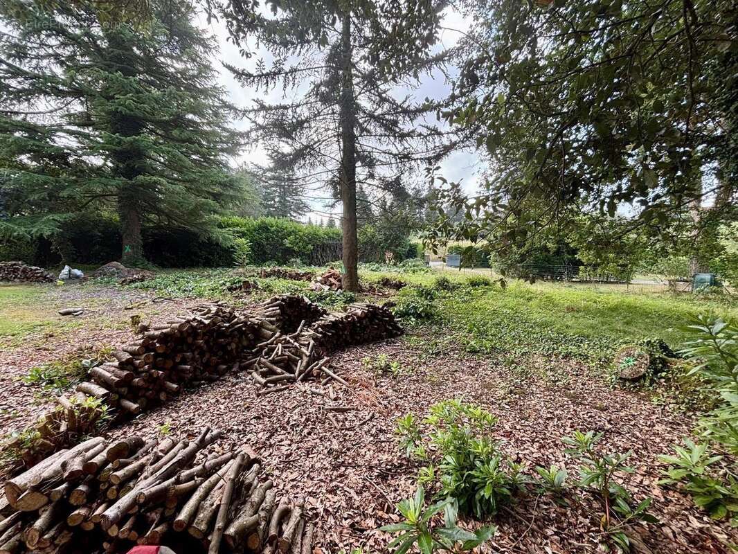 Photo 2 - Terrain à COLPO