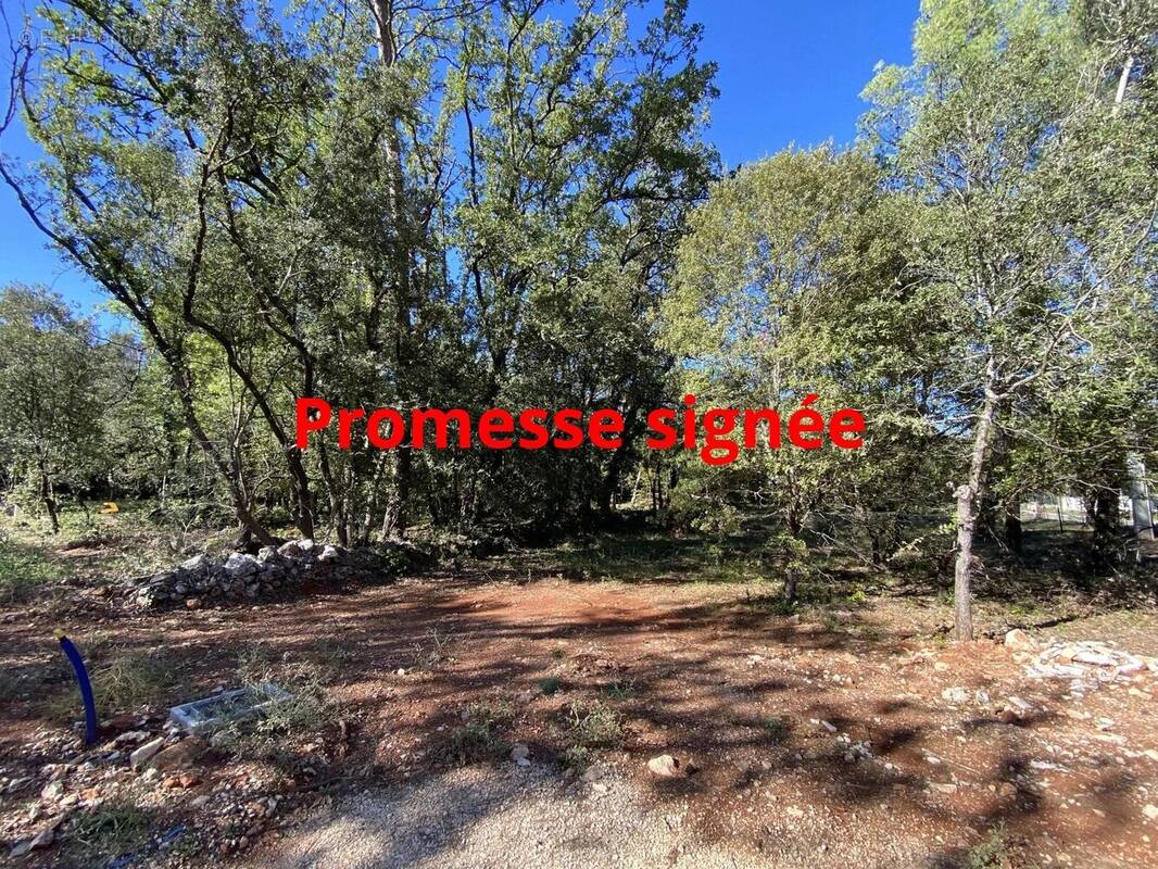 Terrain à NANS-LES-PINS