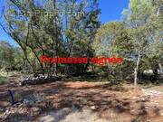 Terrain à NANS-LES-PINS