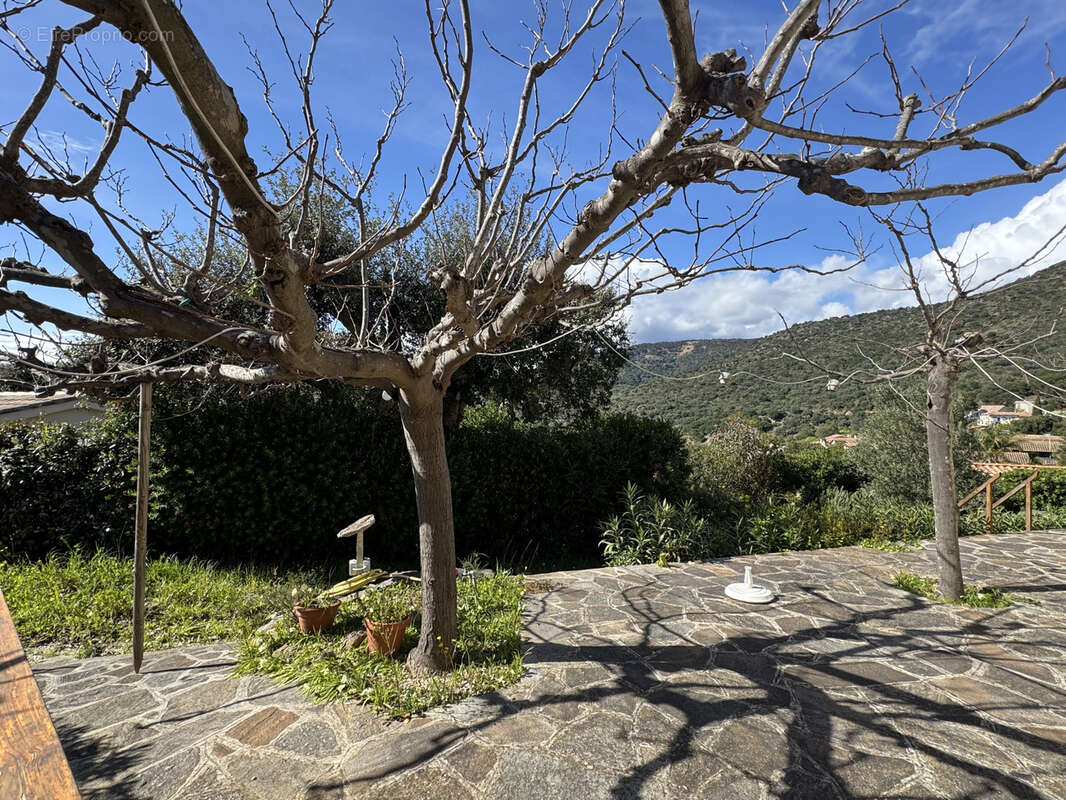 Terrain à BORMES-LES-MIMOSAS