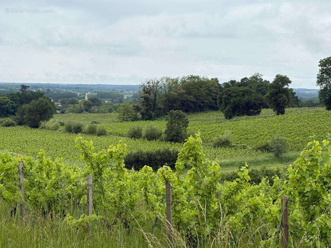 Domaine d'exception sur les coteaux de sainte croix du mont : un fort potentiel entre ciel et vignes - photo 3