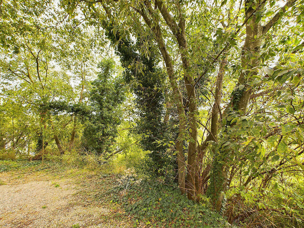 Maison à VILLENEUVE-DE-BERG