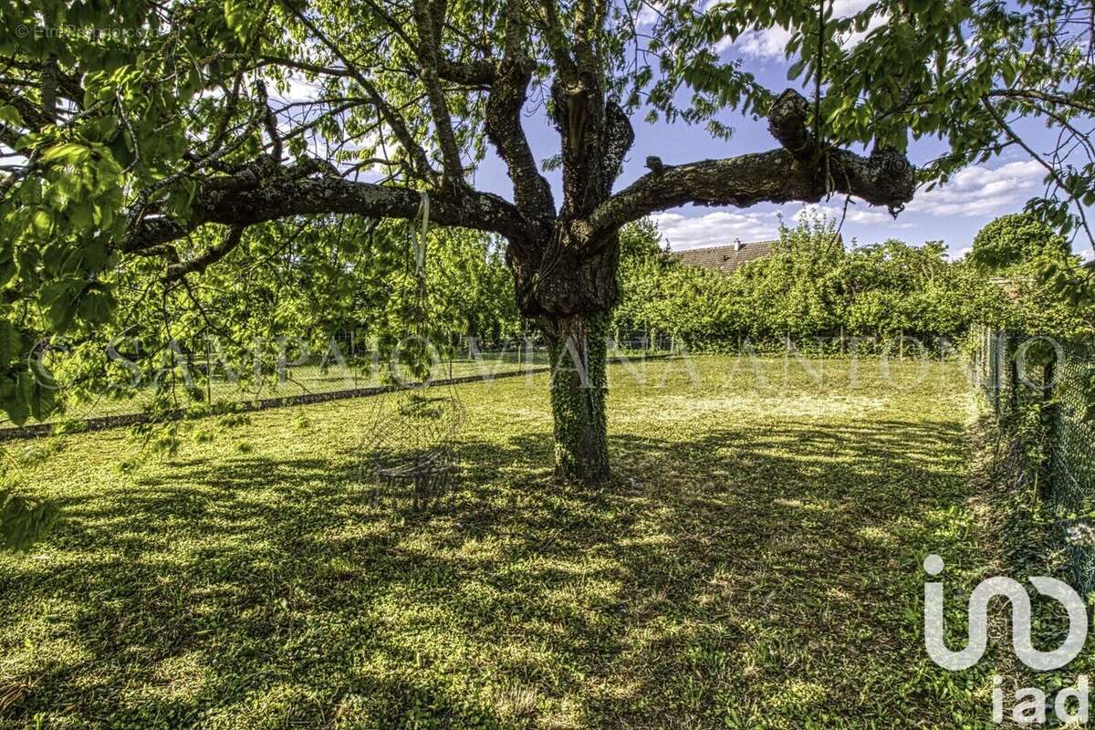 Photo 5 - Maison à PUISEAUX