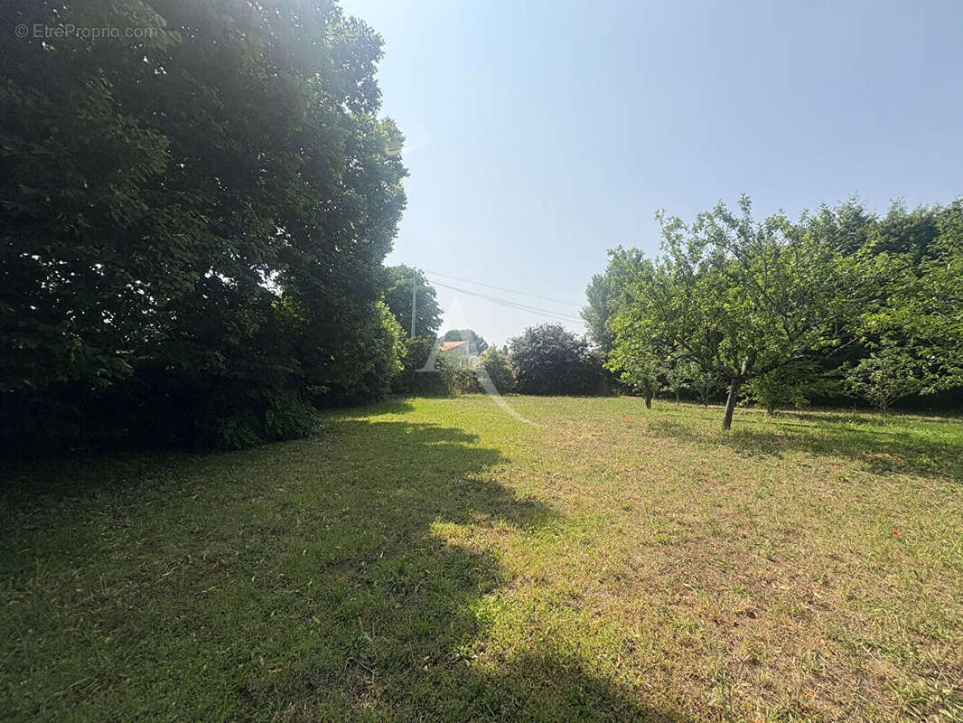 Maison à SAINT-JUST-LUZAC