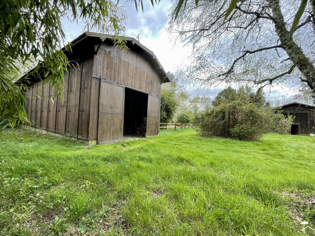 Maison à BAZAS