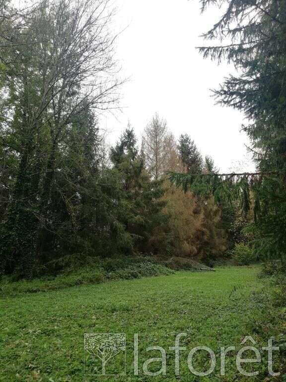 Terrain à NOISY-SUR-ECOLE