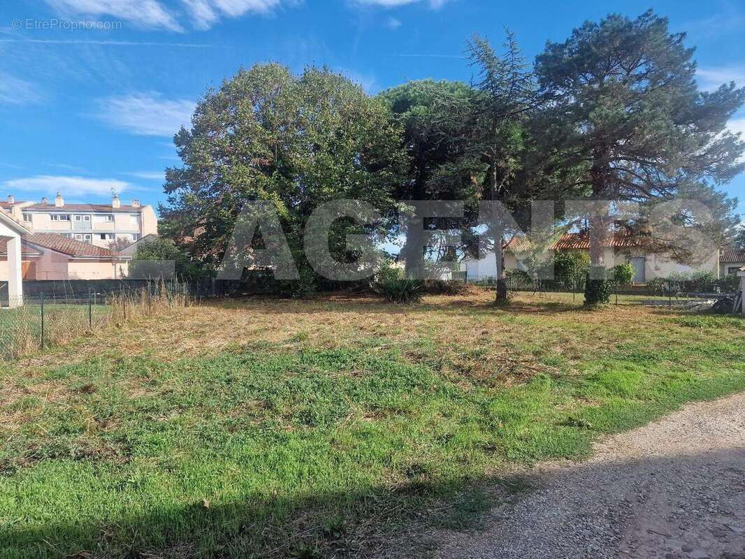 89ba5b9c-4302-4d1d-aa5c-1576e6a6fc7c - Terrain à CASTELSARRASIN