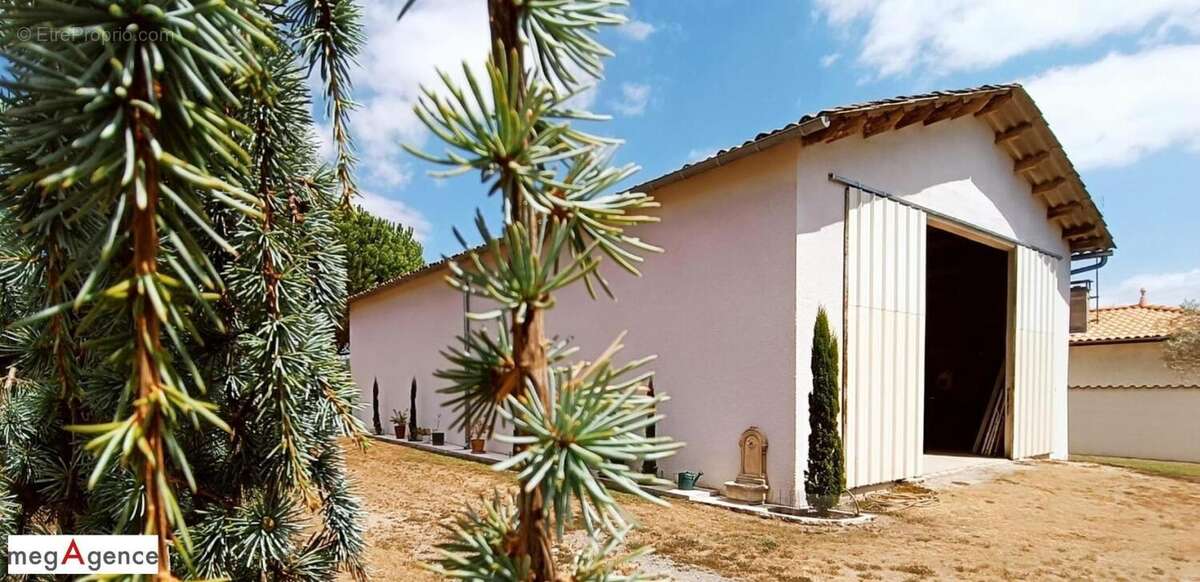 LANGON à 3 mn de cette très belle et grande demeure - photo 13