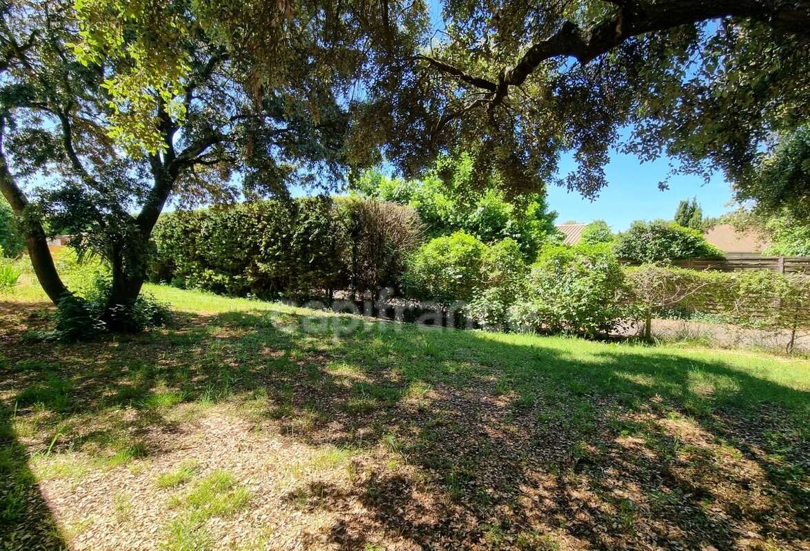 Villa de plain-pied de 156m² avec 6 pièces + une dépendance - Terrain arboré de 1400m² avec Piscine - (34160) - photo 19
