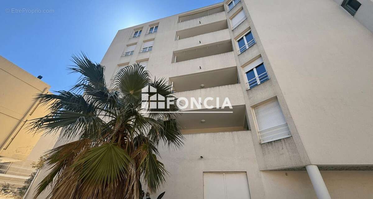 Toulon brunet - photo 6