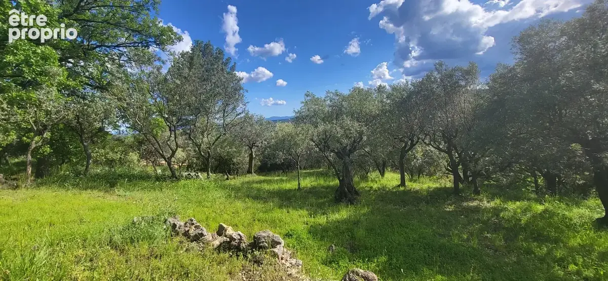 Bastidon - Callas - Var - photo 3