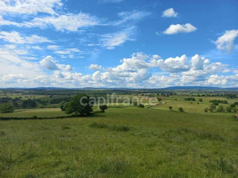 Maison à SANVIGNES-LES-MINES