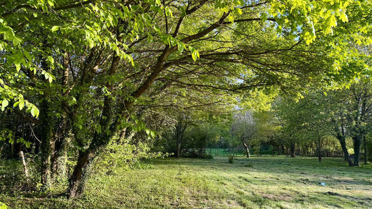 fermette en hameau - photo 11
