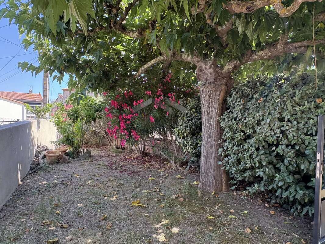 Maison de village en pierre à vendre à Muratello - photo 3