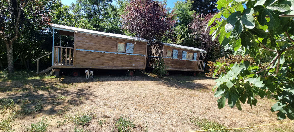 Nouveauté à la vente ! - photo 14