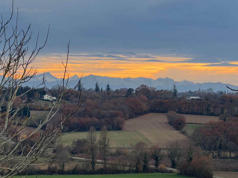 Dpt Gers (32), à vendre proche de LUPIAC- Ensemble de 3 maisons -  P6 de 187 m² - Terrain de 29366  m2 - photo 21