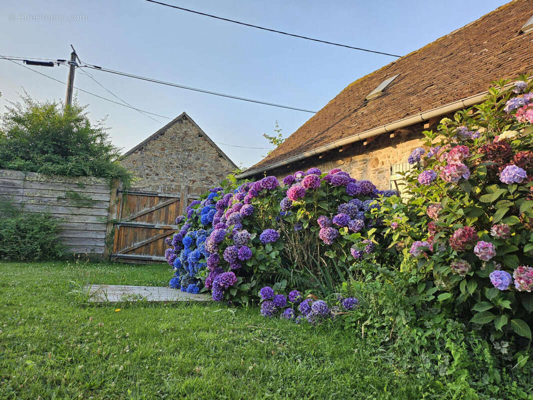 1000025941 - Maison à SAINT-PRIEST-LES-FOUGERES
