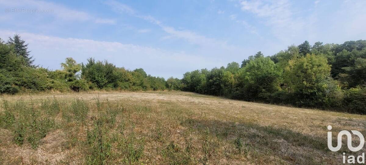 Photo 1 - Terrain à SAINT-LOUP-LAMAIRE