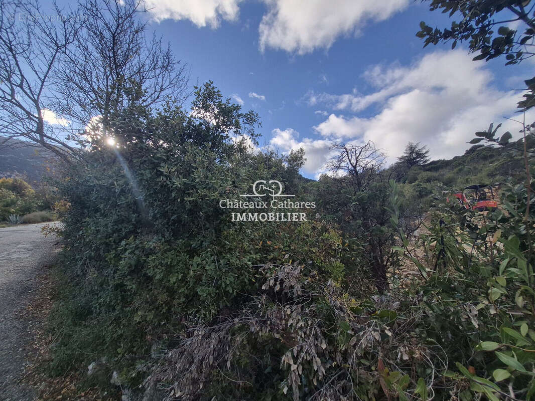 Terrain à DUILHAC-SOUS-PEYREPERTUSE