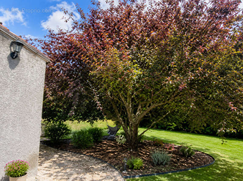 Maison à LA CHARITE-SUR-LOIRE