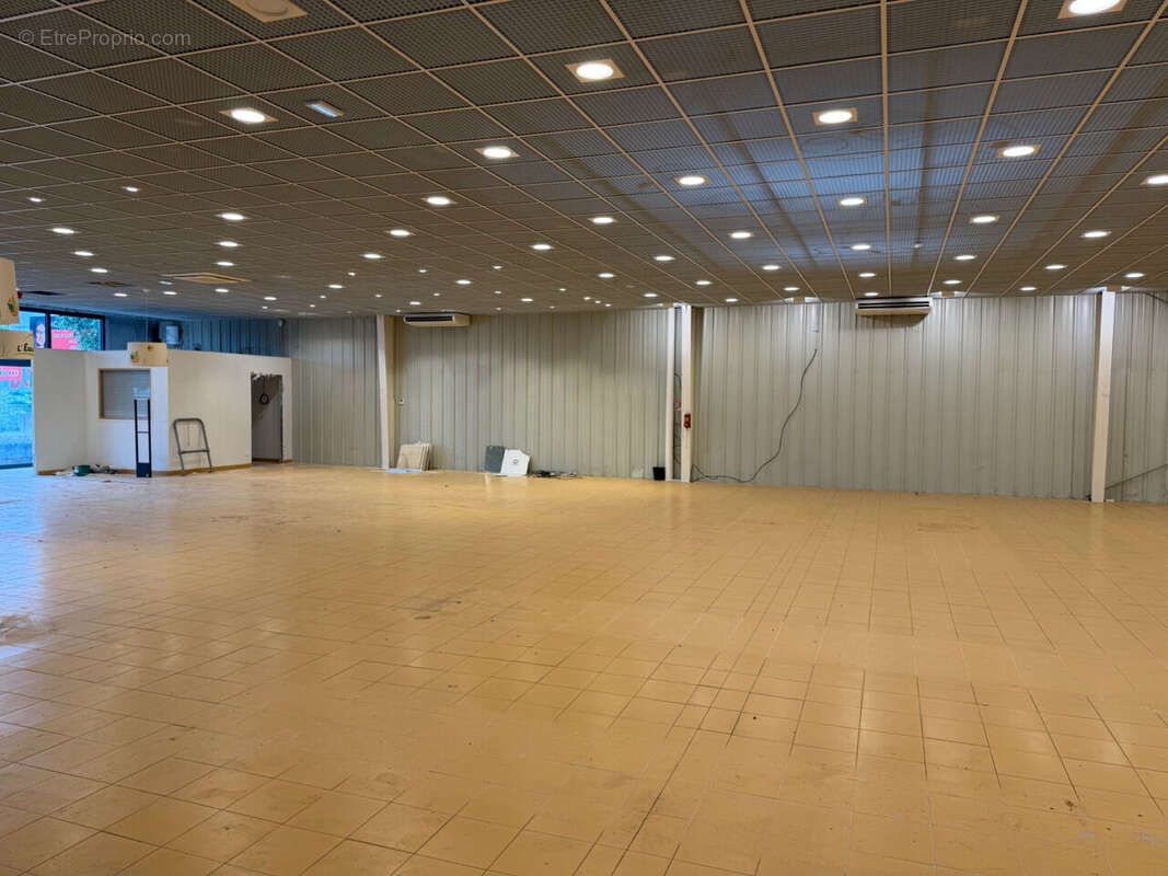 COLMAR - Zone Aérodrome - 4 rue Louis Blériot - 709 m2 - photo 10